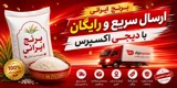 گیلان تک دانه
